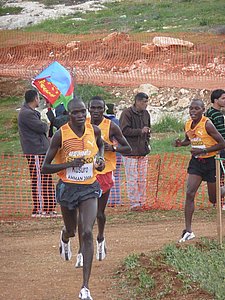 P1020397.JPG