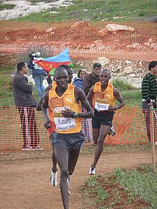 P1020399.JPG