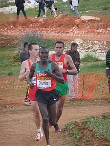 P1020402.JPG