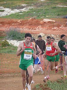 P1020411.JPG