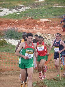 P1020412.JPG