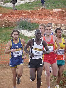 P1020433.JPG