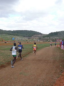 P1020441.JPG