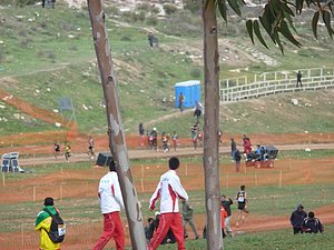 P1020442.JPG