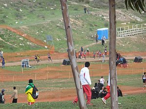 P1020446.JPG