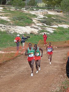 P1020494.JPG