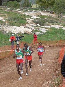 P1020497.JPG