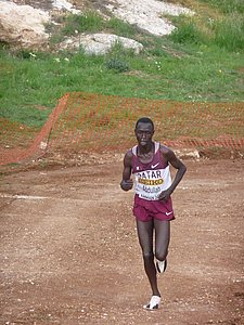 P1020499.JPG