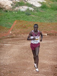 P1020500.JPG