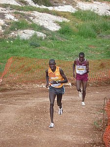 P1020503.JPG