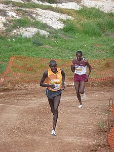 P1020505.JPG
