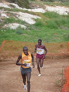 P1020509.JPG