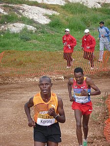 P1020511.JPG