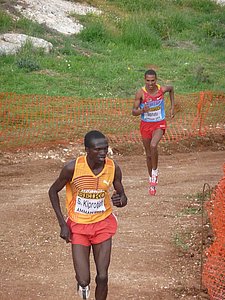 P1020515.JPG