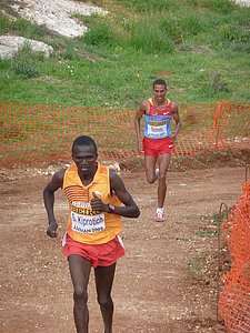 P1020516.JPG
