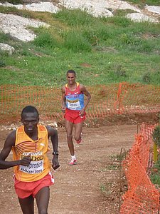P1020518.JPG
