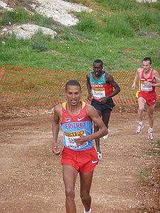 P1020519.JPG