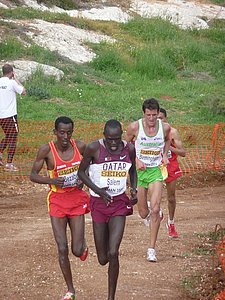 P1020524.JPG