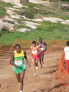 P1020564.JPG