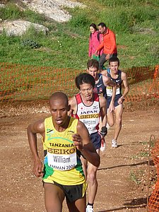 P1020567.JPG