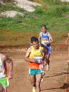 P1020587.JPG