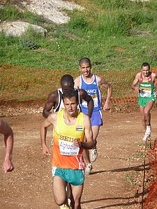 P1020588.JPG
