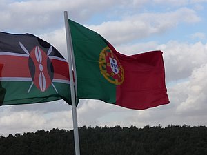 P1020637.JPG