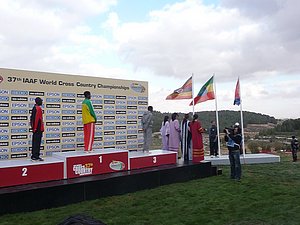 P1020653.JPG