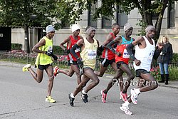Wanjiru-Rabbits-Chicago09.jpg