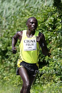 Limo_Felix-Falmouth09.jpg
