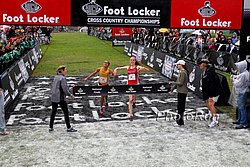 Goethals-SveinssonFH-FLC09.jpg