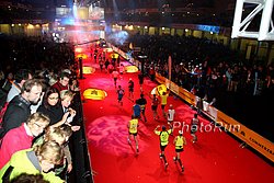 SpectatorFesteHalle-#8B5C23.jpg