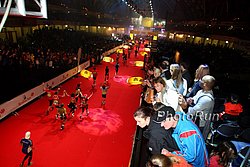 SpectatorFesteHalle1#8B5C24.jpg