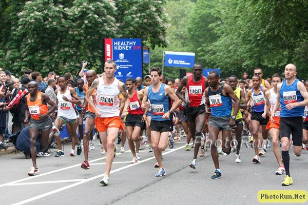 Start-Kidney09.jpg