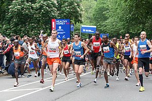Start-Kidney09.jpg