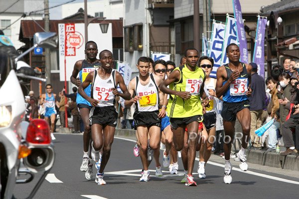 RabbitsLead-LakeBiwa09.jpg