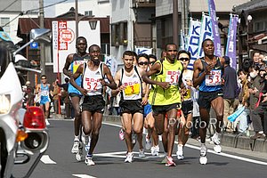 RabbitsLead-LakeBiwa09.jpg