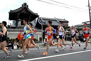Temple-LakeBiwa09.jpg