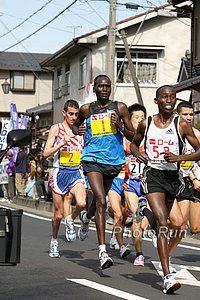 Tergat-Rabbits-LakeBiwa09.jpg