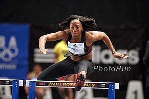 Ross-Williams_Tiffan#461919.jpg