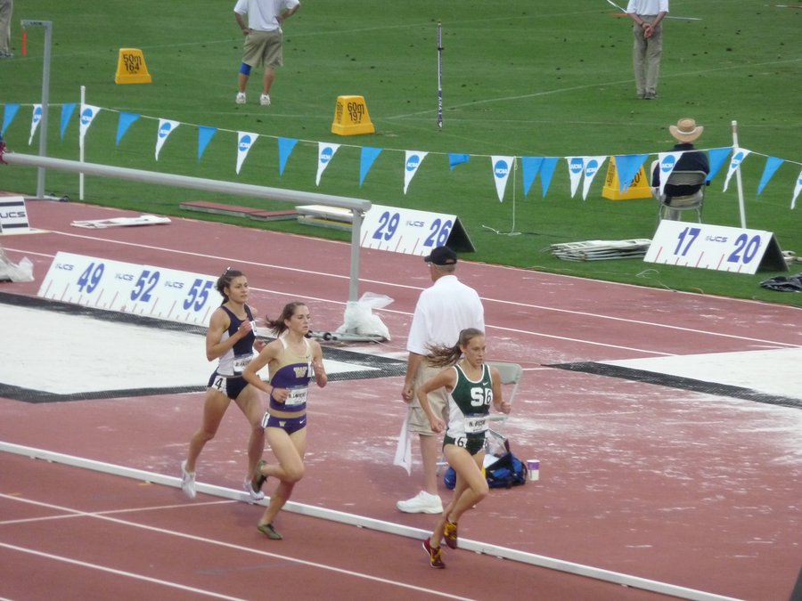 P1030101.JPG