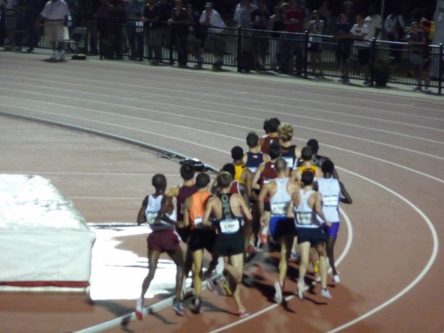 P1030144.JPG