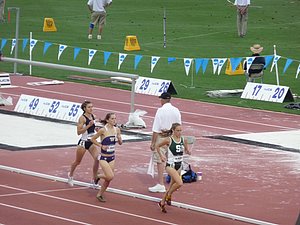 P1030101.JPG