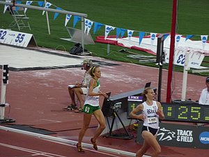P1030106.JPG