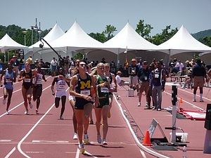 P1030201.JPG