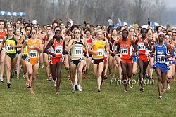 GirlsStart-NCAAxc09.jpg