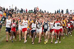 MenStart-NCAAxc09.jpg