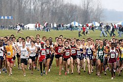StanfordStart-NCAAxc09.jpg