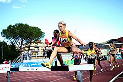 Bobocel_Acuta-Rieti09.jpg