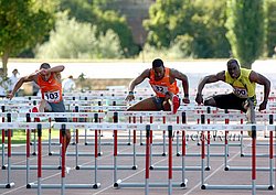 Thomas-Falk-Turner-Rieti09.jpg